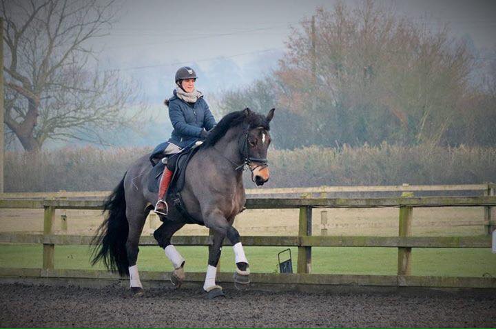 Elli Darling trains and rides horses on Hack Up Bespoke!