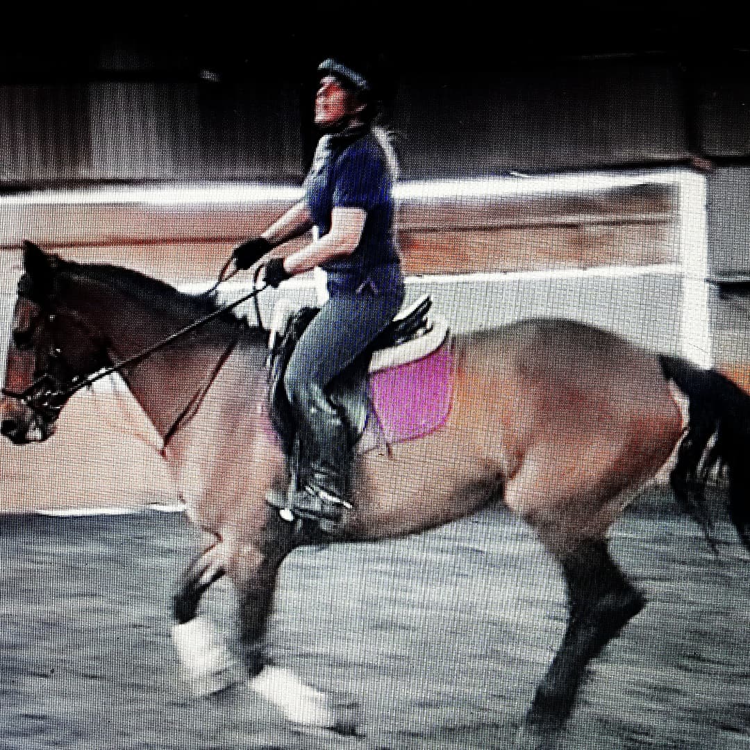 2 Years on Hack Up Calm / Digest / Detox Bespoke - Happy horse, Happy Owner