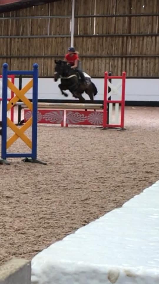 Giving Liquid Air helps Sarah Robson\'s Barney give the jumps some Air too!!