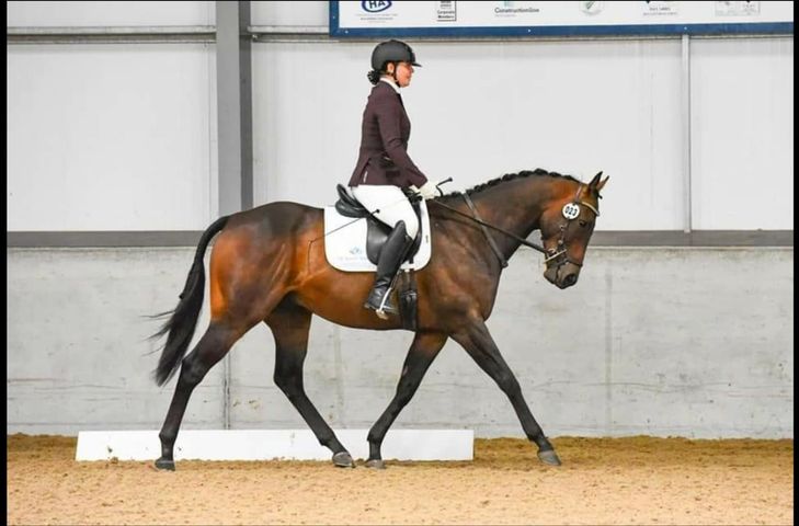 Dressage judge and trainer Gemma Pye will never run out again!!