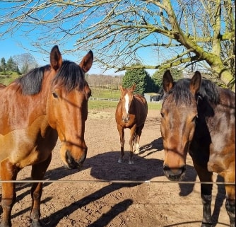 Welcome BACK! All three NOW on are direct debit subscription