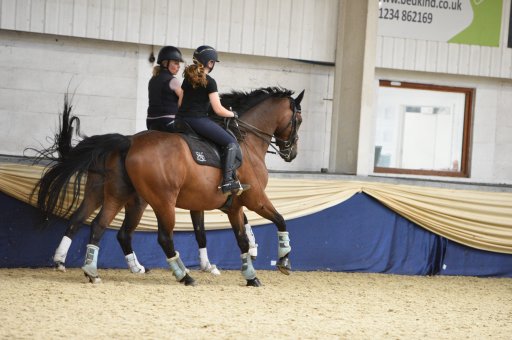 NEW chat and refine in your account